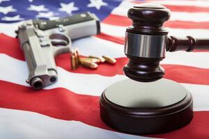 Kenosha County Firearms Defense Lawyer